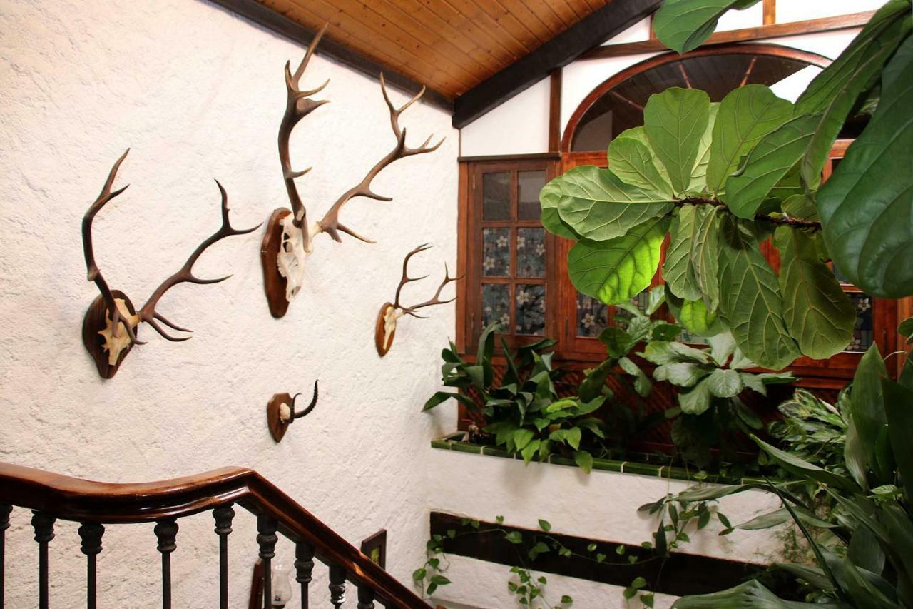 Molino Rodete Casa de hóspedes Jimera de Líbar Exterior foto